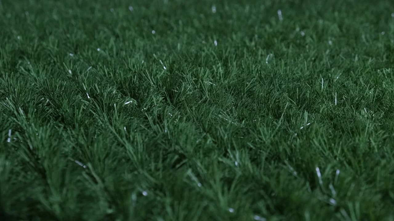 Полотно изгороди, цвет Mix green